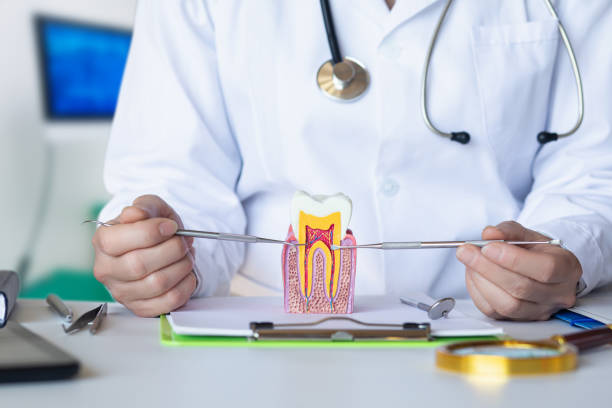 Best Emergency Dentist for Knocked-Out Tooth in Bethel, WA